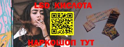 Альфа ПВП Можга