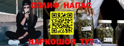 Альфа ПВП Можга