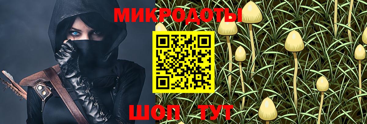 Галлюциногенные грибы мицелий Выборг